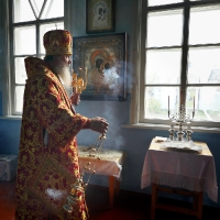 Божественная Литургия в храме Казанской иконы Божьей Матери села Камышино